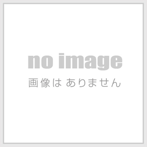 AVEST ヴェルファイア 30系/アルファード 30系 前期 VerticalArrow Neo LEDルームランプ 